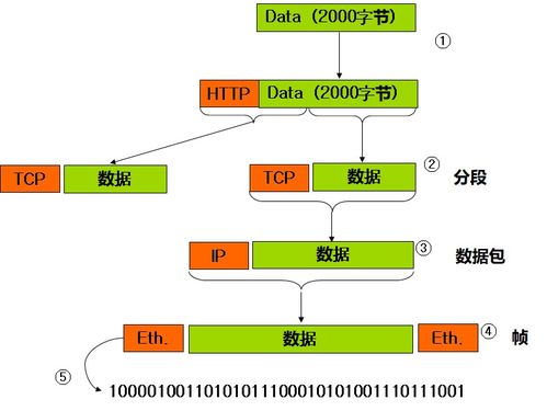 計算機網絡基礎與IP地址配置